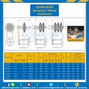 SWT30-2 ; ชุดเฟืองตึงโซ่ เบอร์ RS40-15 ฟัน