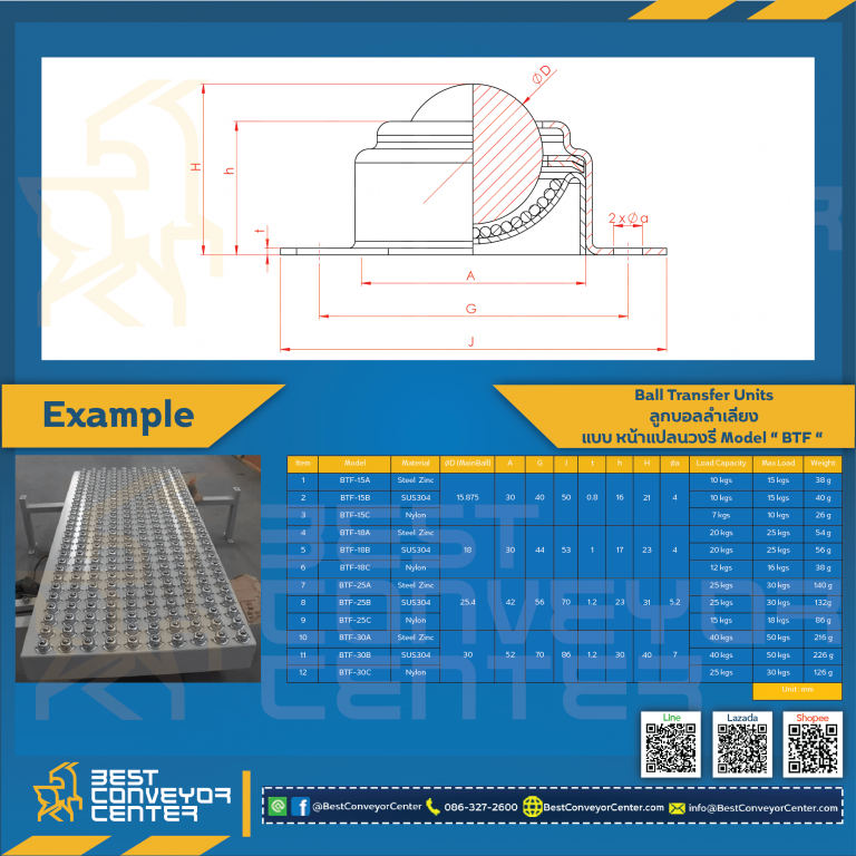 BTF-15A ;  Ball Transfer Units แบบหน้าแปลนวงรี 15 mm. (Steel Zinc)