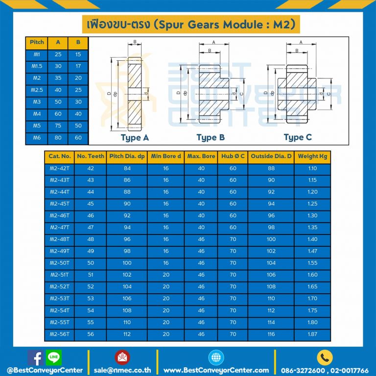 เฟืองขบสแตนเลส มีดุมแถวคู่ M2SS-100TC