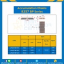 Accumulation Chains LF8257 BP ; 10 นิ้ว. : LF8257 BP 100