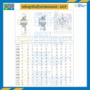 ลูกปืนตุ๊กตา UCF203 ลูกปืนสแตนเลส รูเพลา 17 mm. : UCF203-17-SS