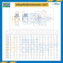 UCT204-20-SS : ลูกปืนตุ๊กตา UCT204 ลูกปืนสแตนเลส รูเพลา 20 mm.