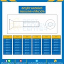 สกรูหัวจมเตเปอร์สแตนเลส ขนาด M10x15 mm. (SUS304) : HTP-M10L15SS