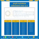 สกรูหัวจมดำพิเศษ เกลียวตลอด เกรด 12.9 ขนาด M10x100 mm. : HS-M10L100x12.9BS