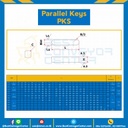 Parallel Key แบบกลม รูเกลียว M4 ที่ปลายทั้งสองด้าน ขนาด 10xL40 mm. เหล็ก : Parallel Key PKS M4-10×40-S