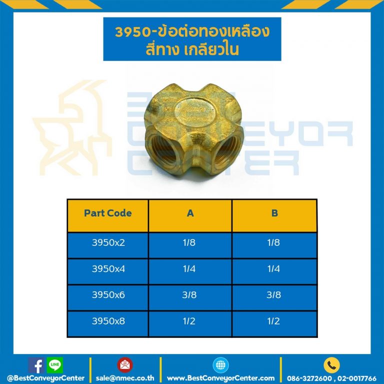 ข้อต่อทองเหลืองสี่ทางเกลียวใน 3950×8