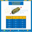 ข้อต่อตรงยูเนี่ยนแฟลย์ 42×10