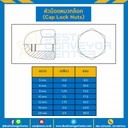 หัวน็อตหมวกล็อค ขนาด M10x1.5 ขอบ 17 mm. : CLN-M16
