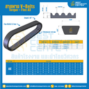 สายพาน V-Belt Torque – Flex : AX21