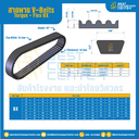 สายพาน V-Belt Torque – Flex : BX28