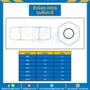 HDG-M20 ; หัวน็อตชุบสังกะสี ขนาด M22