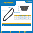 HY-T Plus (Classical) E 1-1/2″ Wide V-Belts 