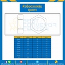 VN-M10-1-WZ ; หัวน็อตวอลลุ่มชุบขาว ขนาด M10x1 ขอบ 13 หนา 2.5 mm.