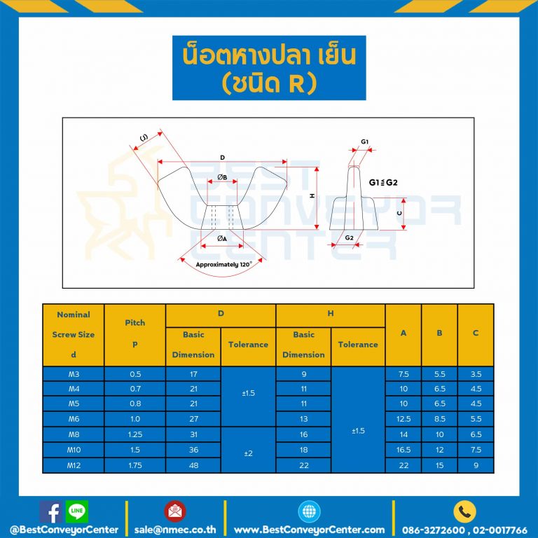 CHNHR-ST-M10 น็อตหางปลา เย็น ชนิด R เหล็ก ขนาดเกลียว M12