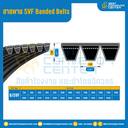 5VF Banded Belts : 6/5VF