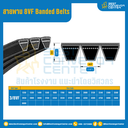8VF Banded Belts : 3/8VF
