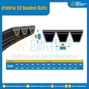 5V Banded Belts : 3/5V