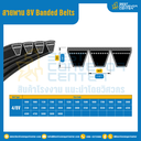 8V Banded Belts : 4/8V
