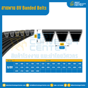 8V Banded Belts : 6/8V