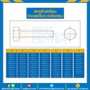 สกรูหัวเหลี่ยมทองเหลือง ขนาด 5/8×3-1/2 mm. : BHS-M5/8L3-1/46