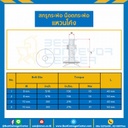 BBC-M8x50-S - สกรูกระพ้อ แหวนโค้ง M8 (5/16″) ยาว 50 mm.