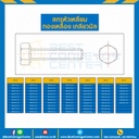 สกรูหัวเหลี่ยมทองเหลือง ขนาด M10x100 mm. : BHS-M10L116