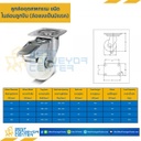 NYB-B-75 ล้อไนล่อนลูกปืน แบบแป้นเบรค ขนาด 75 mm.