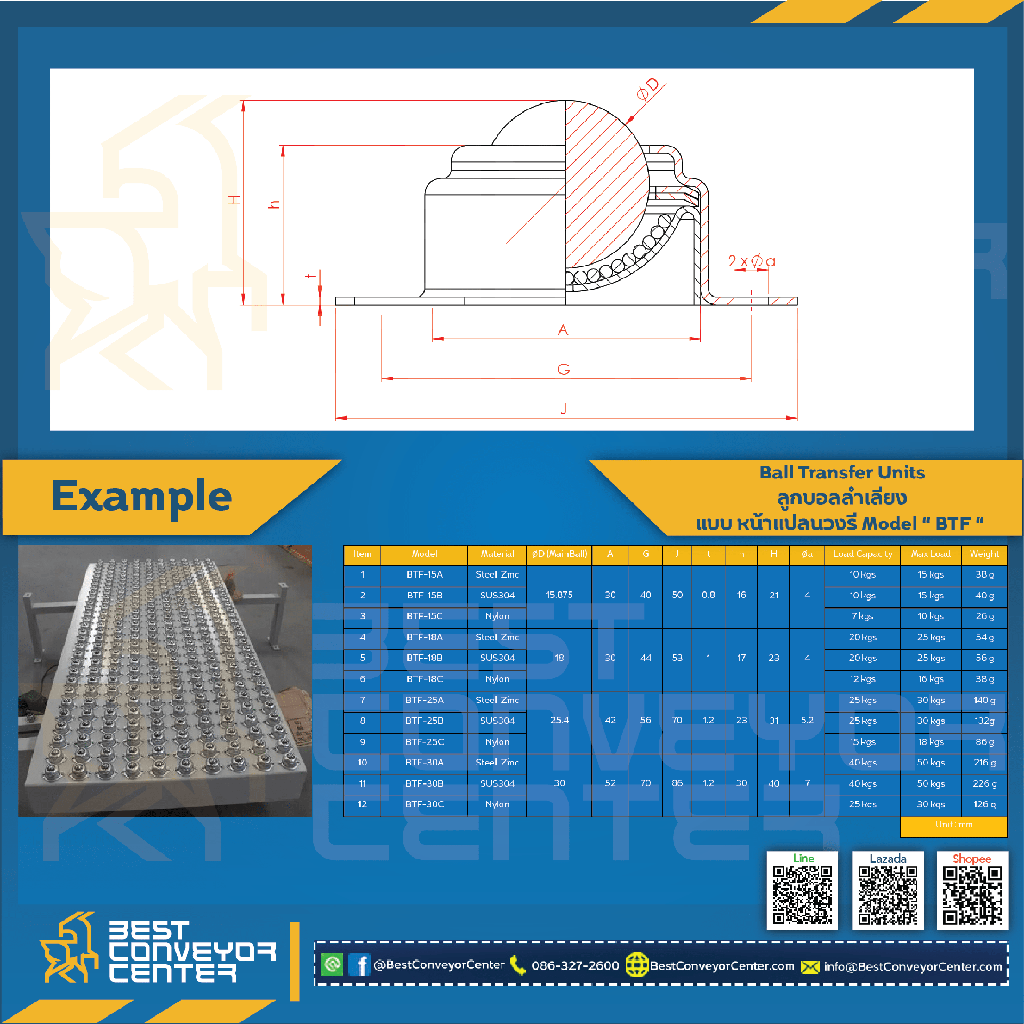111_BTF-25A : Ball Transfer Units แบบหน้าแปลนวงรี 25 mm. (Steel Zinc)