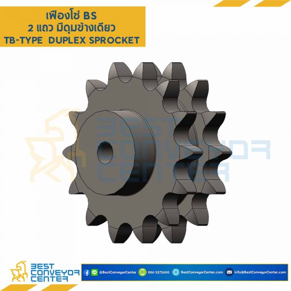 RS100-2R-12TB - เฟืองโซ่ แบบมีดุมแถวคู่ เบอร์ 100-12 ฟัน
