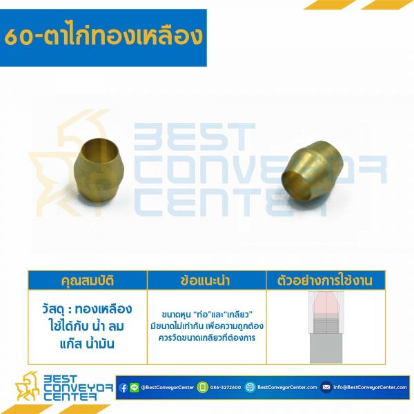 ตาไก่ทองเหลือง 60×8