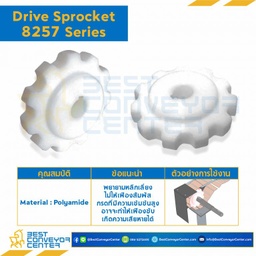 SPROCKET 10Z, BORE 25 MM., DIA 123.4 MM. FOR CHAIN 8257 : 6210345-8257