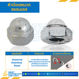 หัวน็อตหมวกสแตนเลส ขนาด M10x1.5 ขอบ 17 สูง 15.5 mm. : CN-M10-1.5-SS