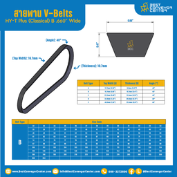 สายพาน V-Belt HY-T Plus (Classical) B .660″ Wide : B41