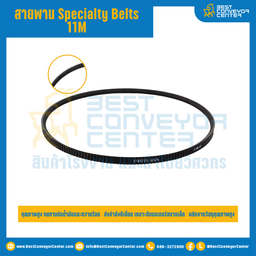 Specialty Belts 11M : 11M825