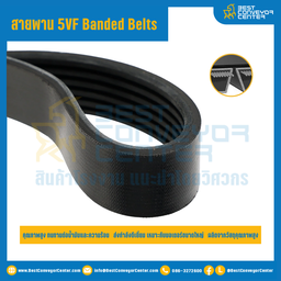 5VL Banded Belts : 5/5VL800