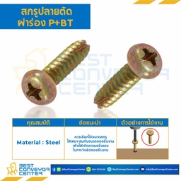 สกรูเกลียวเหล็กปลายตัดผ่าร่อง P+BT ขนาด M2x8 mm. : HSPBT-M2L8