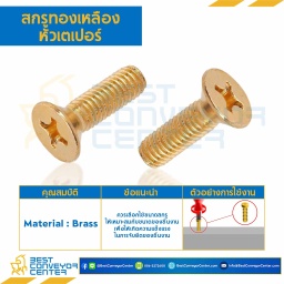 สกรูทองเหลืองหัวเตเปอร์ ขนาด M6x80 mm. : BHTP-M6L80
