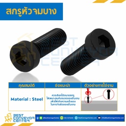 สกรูหัวจมบาง ขนาด M10x30 mm. : HSL-M10L30B
