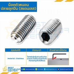 M12L20SSP สกรูตัวหนอน M12x1.75x20 ปลายลูกปืน (Stainless Steel)